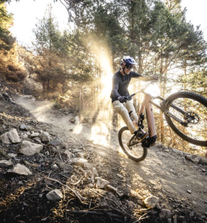 Haibike AllMtn CF TRN/IQ 2025