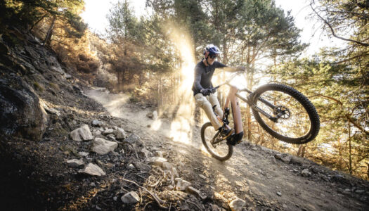 Haibike 2025 – neues AllMtn CF TRN/IQ E-MTB kommt mit Pinion MGU