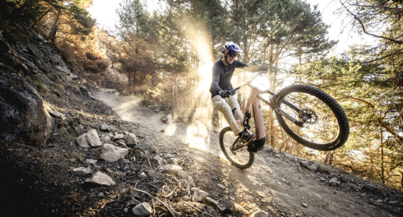 Haibike AllMtn CF TRN/IQ 2025