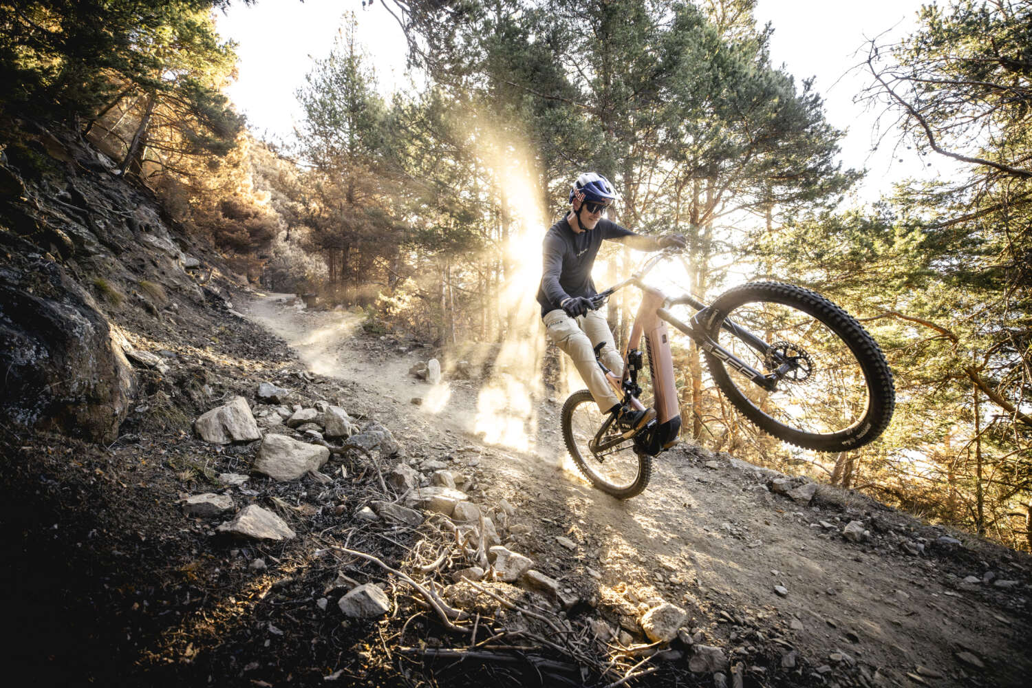Haibike AllMtn CF TRN/IQ 2025