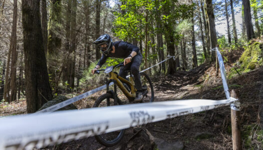Garmin Edge MTB – erster Fahrradcomputer für Mountainbiker