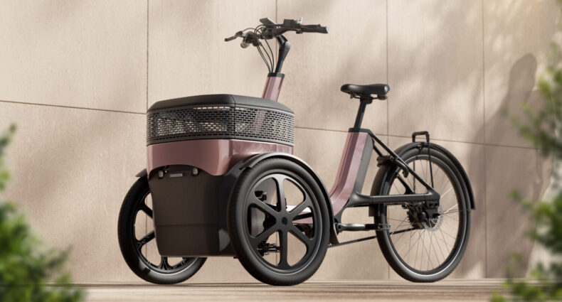 Van Raam Thuja 2025