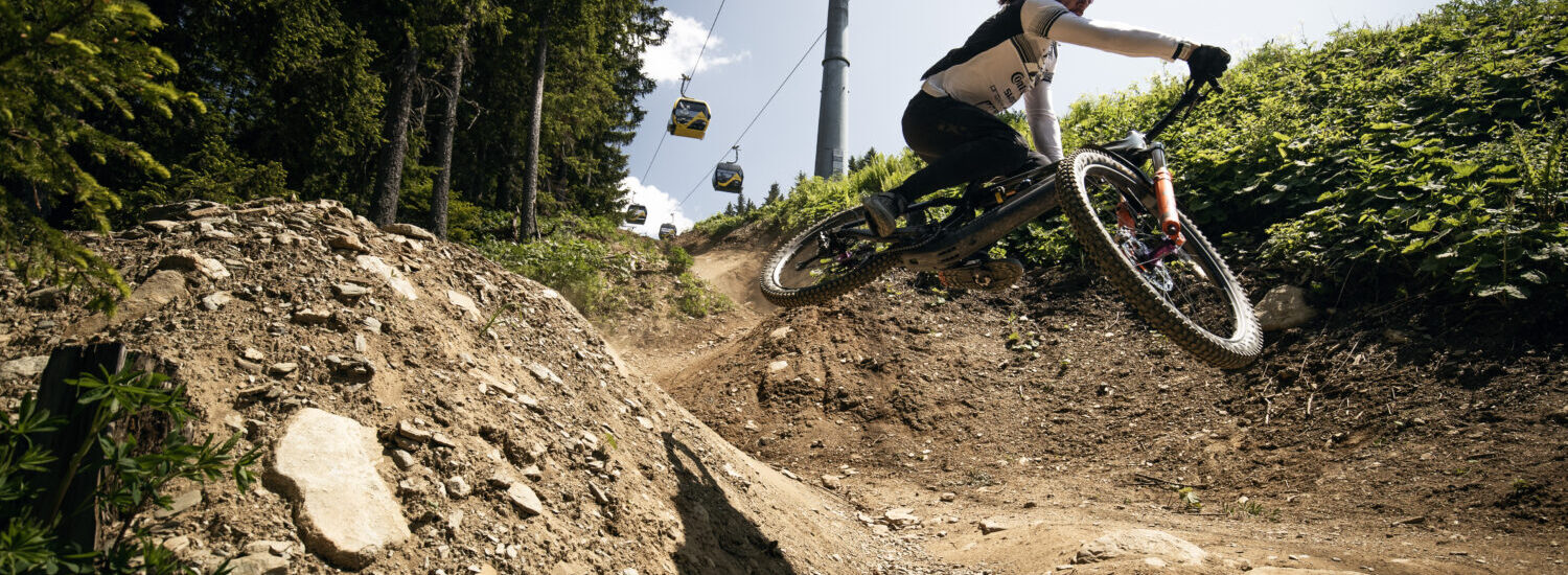 Wynn Masters Focus Bikes