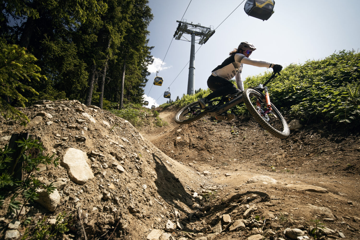 Wynn Masters Focus Bikes