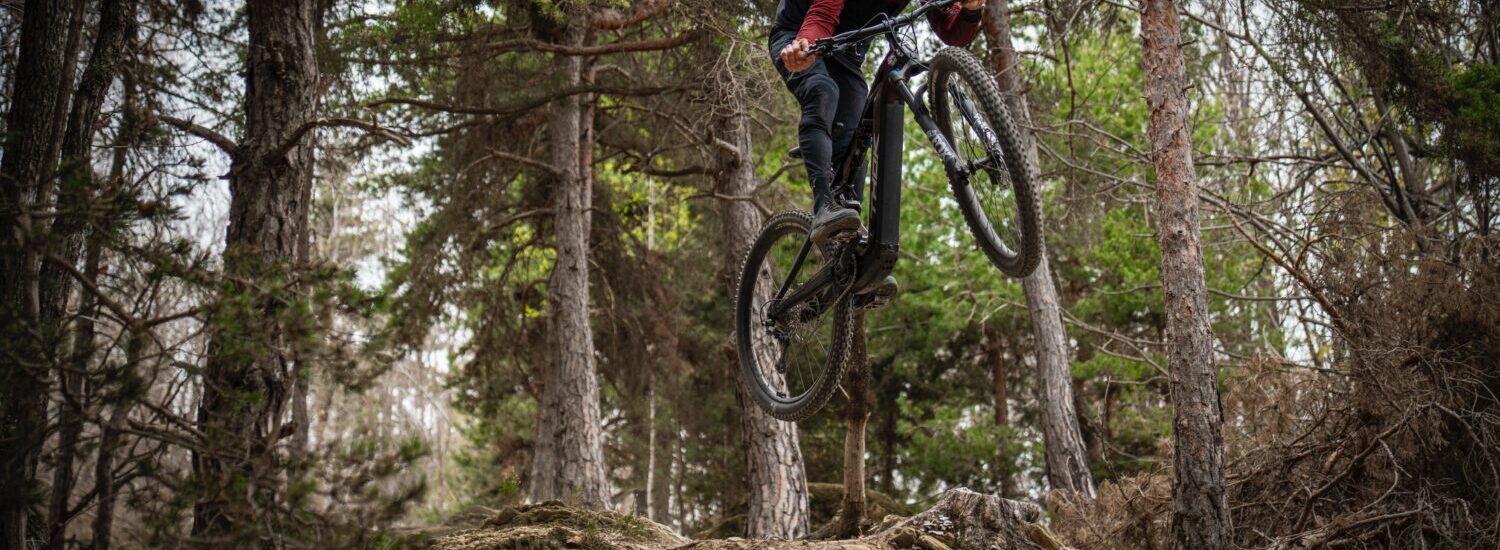 THOK E-Bikes TP4-S TP4