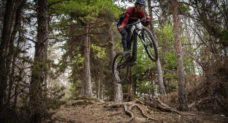 THOK E-Bikes TP4-S TP4