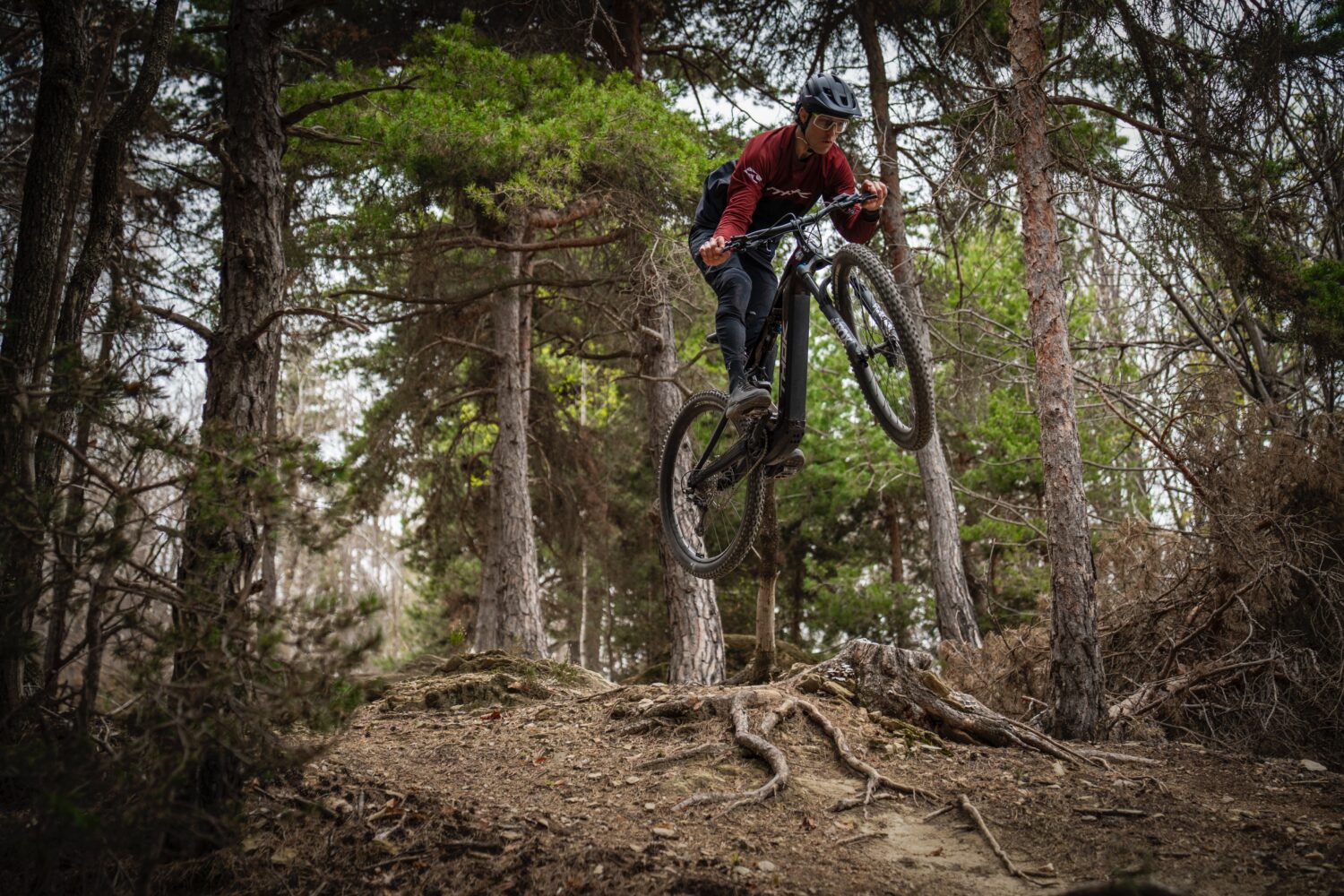THOK E-Bikes TP4-S TP4