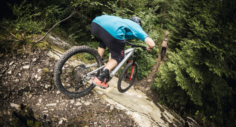 Canyon Neuron:ON CLLCTV 2025