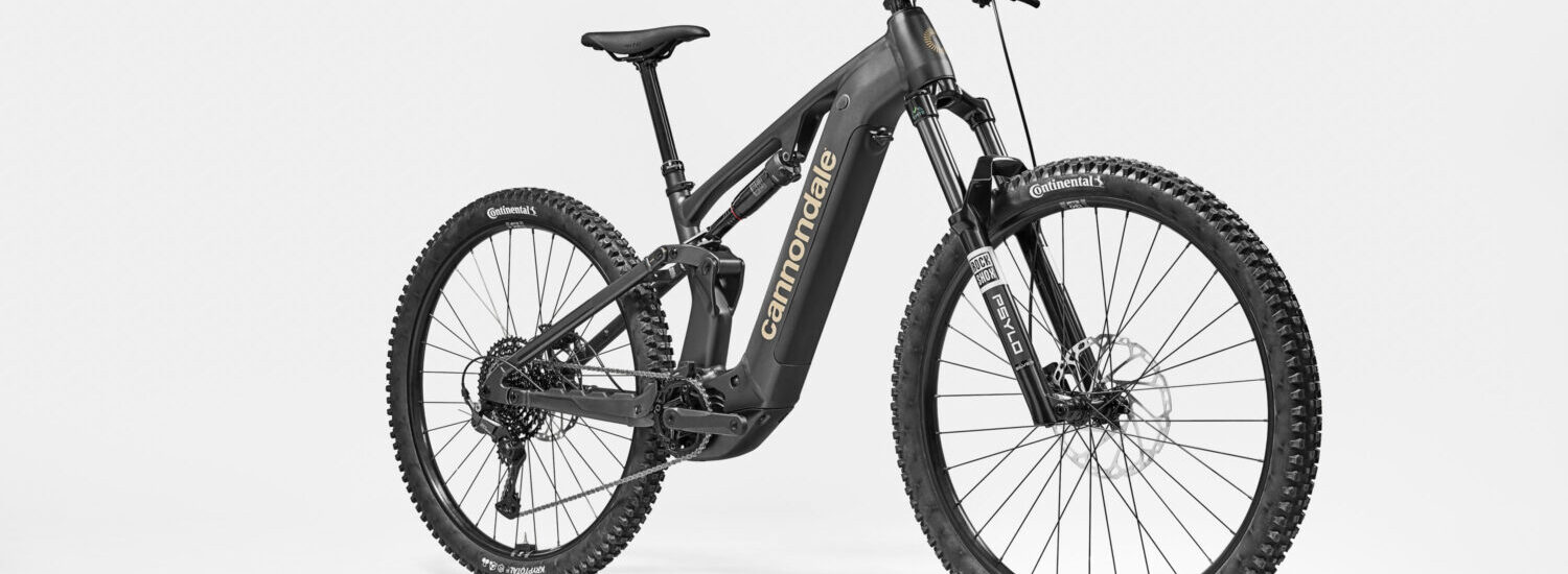 Cannondale Moterra Alloy 2025