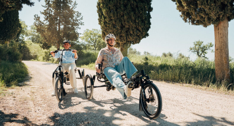 Hase Bikes Kettwiesel ONE PLUS 2025