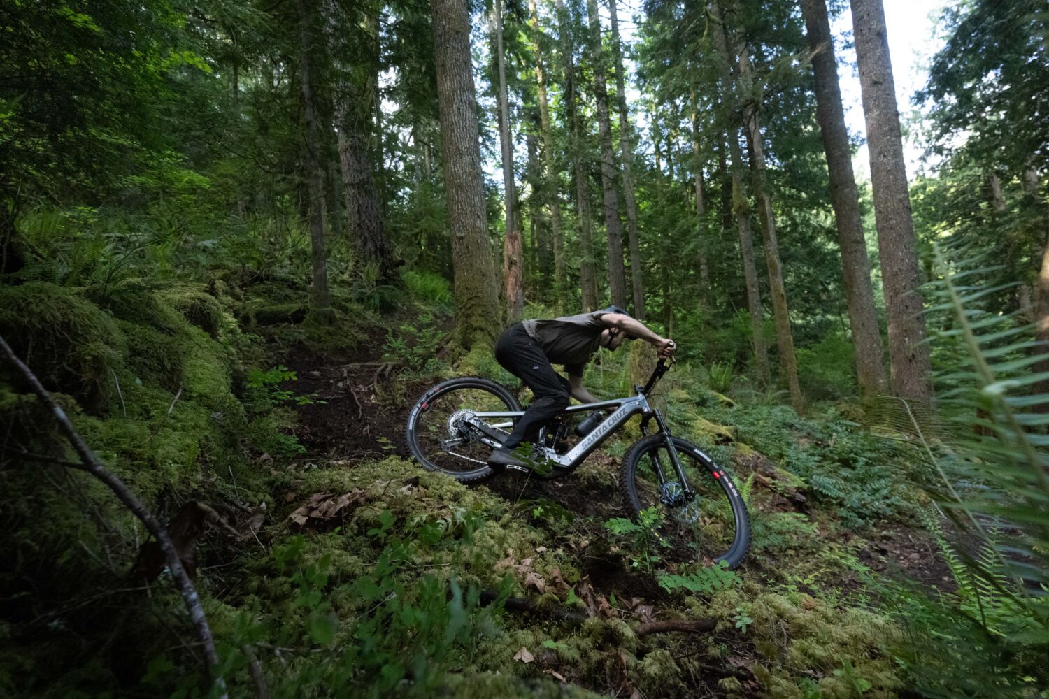 Santa Cruz Vala AL 2025