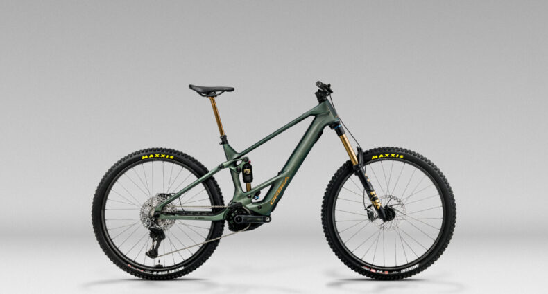 Orbea Wild 2026