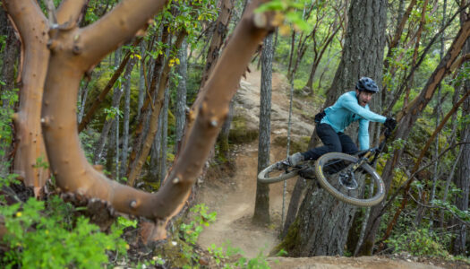 Trek 2026: neues Fuel+ E-MTB kommt mit TQ-HPR60