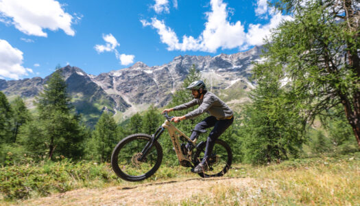 THOK TK02 S: neue E-Enduro kommt mit Bosch CX Gen 5 (First Ride)