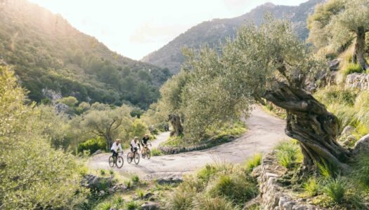 Cyclite setzt auf Nachhaltigkeit im Bikepacking