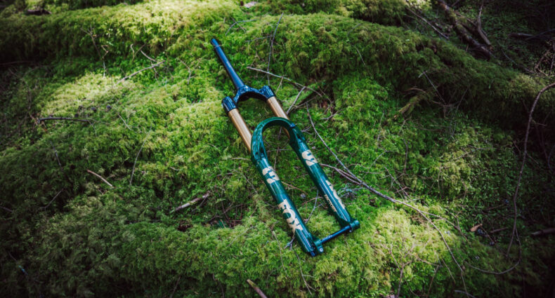 FOX 38 „Racing Green“ 2025