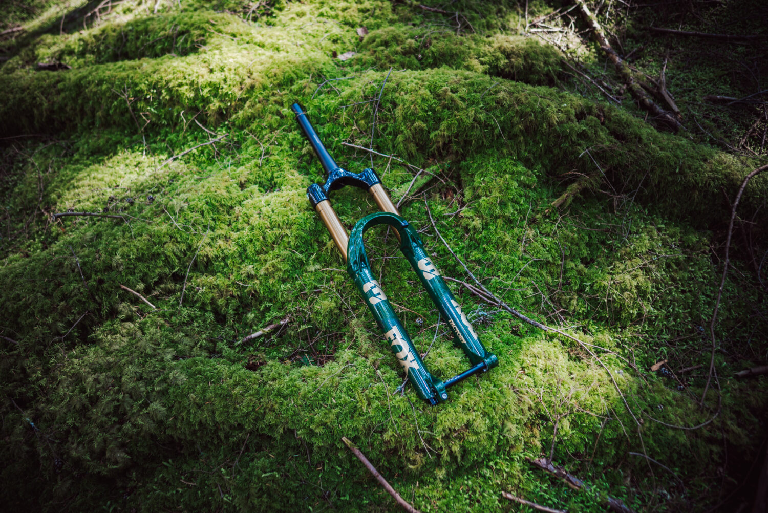FOX 38 „Racing Green“ 2025