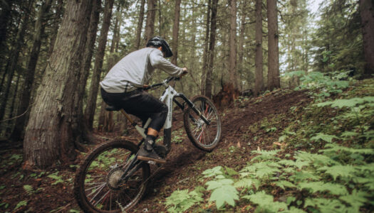 Rocky Mountain Instinct Powerplay SL: Firmware-Update für mehr Leistung