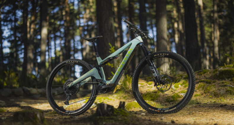 Forestal Sea Otter Europe 2025