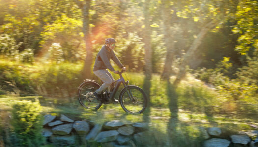 BULLS Iconic EVO: Wie SUV auf dem E-Bike Sinn ergeben kann