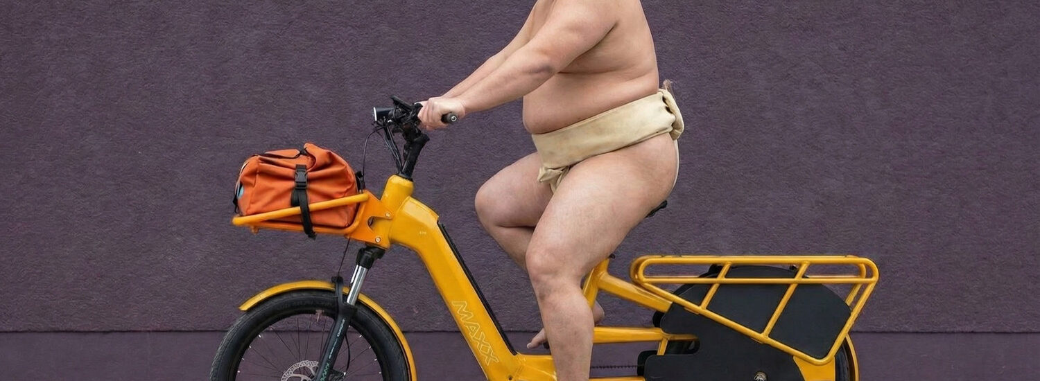 MAXX Maxximo E-Longtail