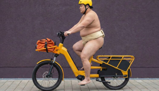 MAXX Maxximo: Das E-Longtail für alle, die mehr vorhaben