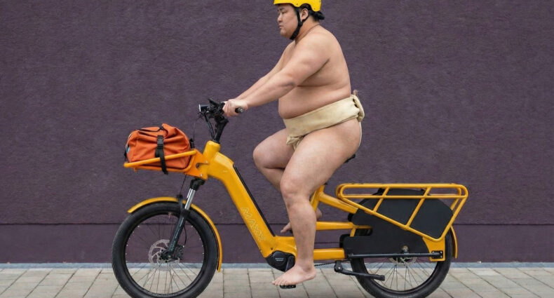 MAXX Maxximo E-Longtail