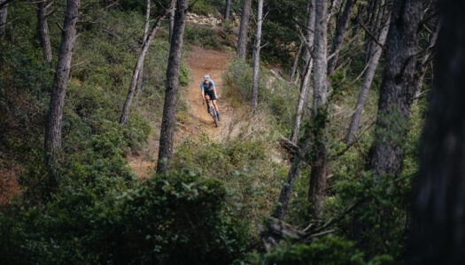 Schwalbe PRO ONE ALLROAD und neue G-ONE Modelle