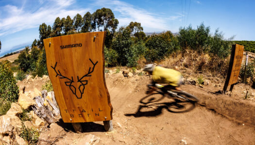 Shimano Trail Born kündigt Programme für 2026 und globale Expansion an