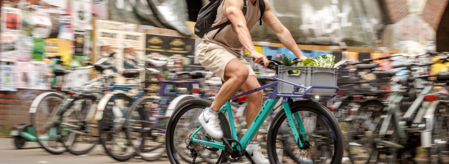 Bulls Clunker EVO 2026