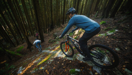 Norco Bicycles erweitert Deutschland-Vertrieb – Silverfish wird neuer Partner