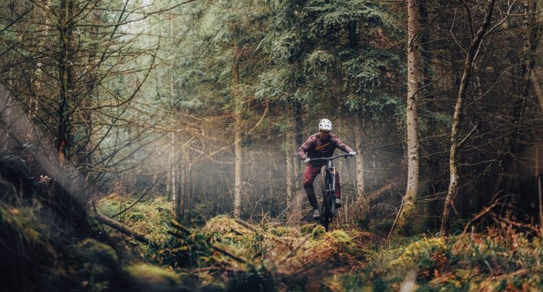 Mondraker Zendis 2027