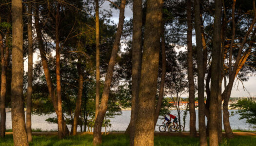 NOVA Eroica Istrien 2026: Gravel-Festival zwischen Schotter, Weinbergen und Parenzana