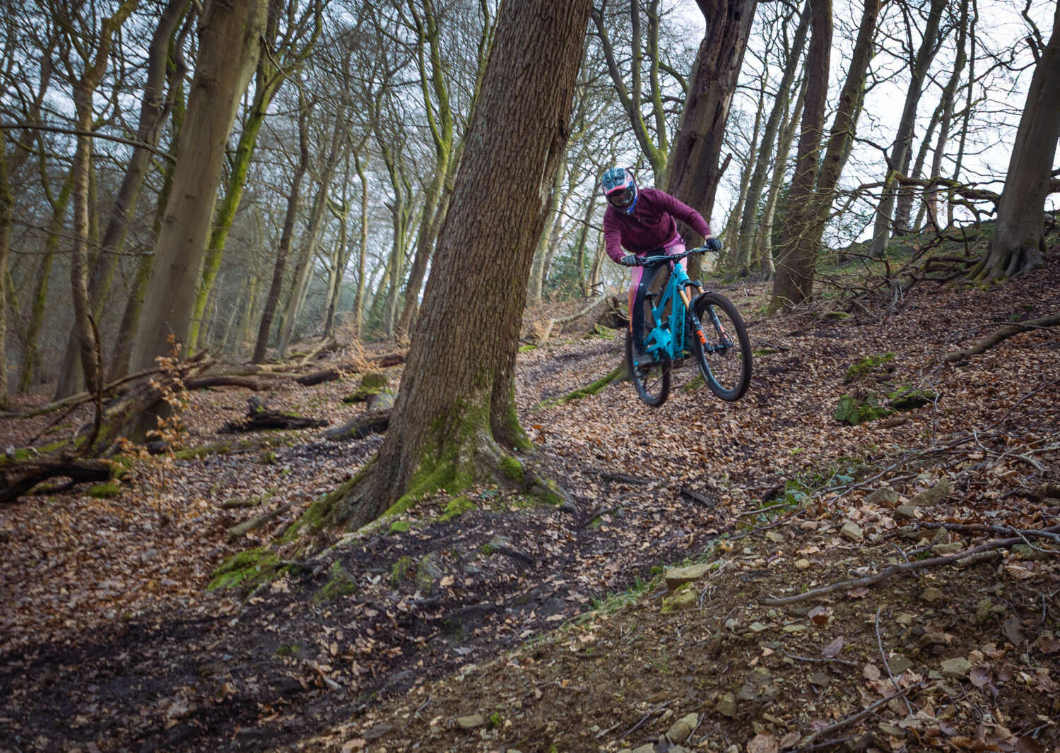 Orange Bikes Phase Avinox 2026