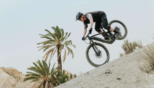 Bosch eBike Flow 1.34: Neue App-Funktionen und SmartphoneGrip Vertical