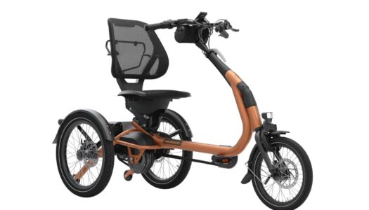 Dreiräder im Aufwind: vanRaam trotzt der Marktschwäche