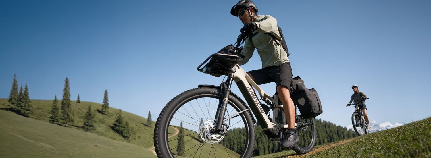 Amflow TL Carbon 2026