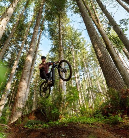 Marin Alpine Trail E 2027