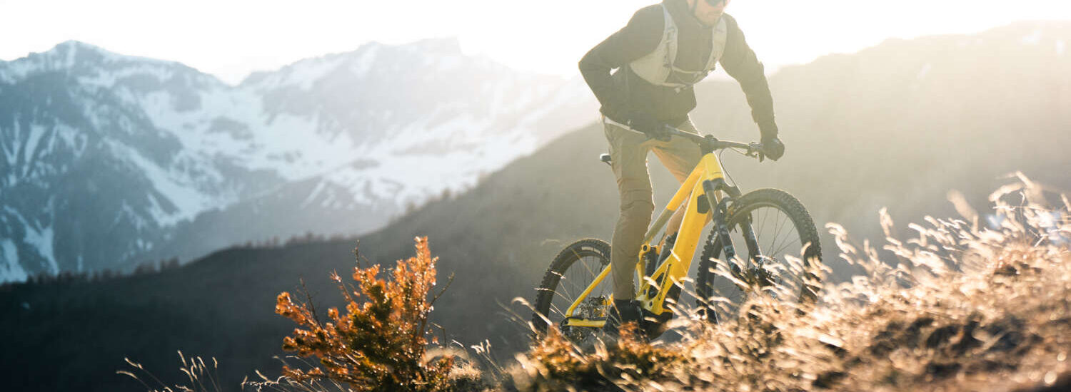 Orbea Wild TR 2027