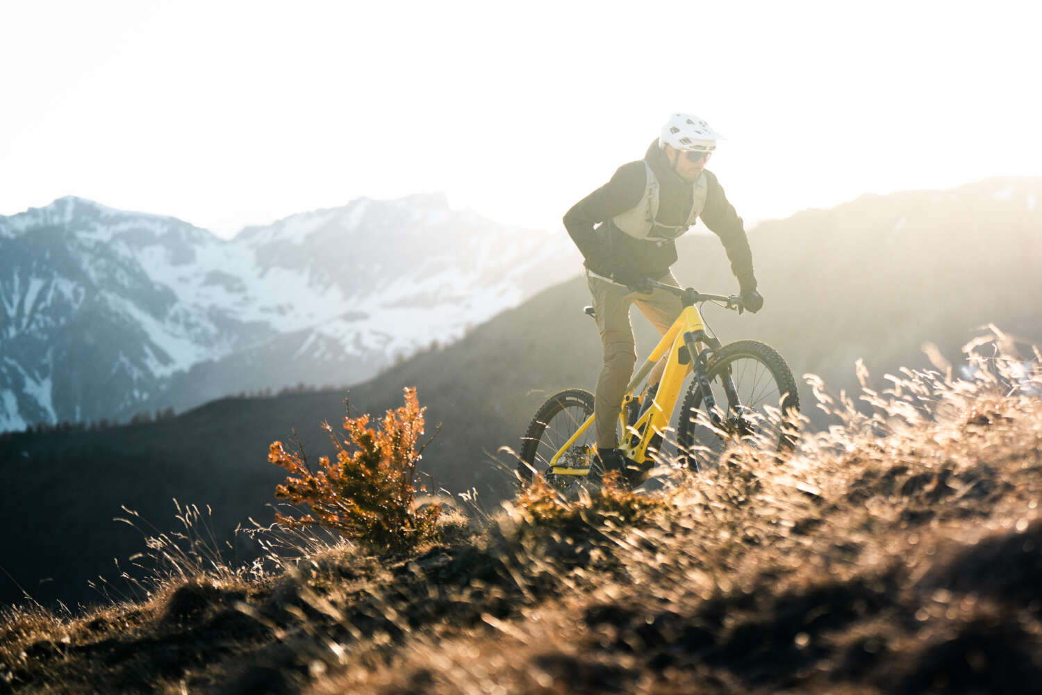 Orbea Wild TR 2027