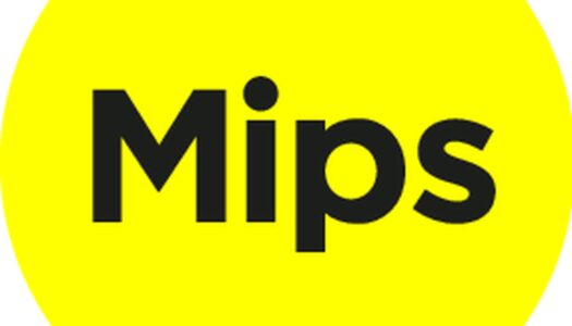 Marie Björklund wird neue CFO von Mips