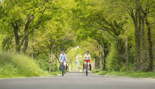 Geschichte mit dem Bike auf dem Radfernweg Mönchsweg entdecken