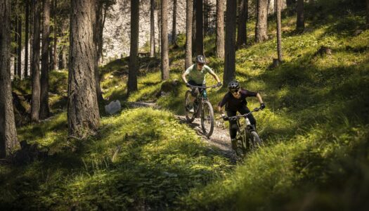 FOCUS 2027 – JAM, SAM und THRON neu benannt, neues Cockpit, altbewährte Trail-Power