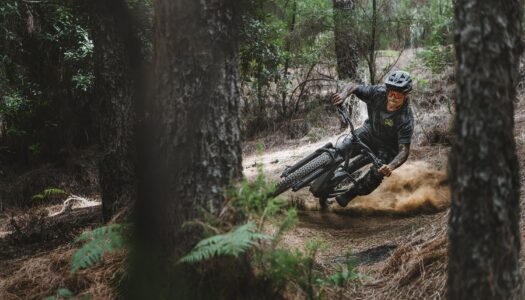 Mondraker 2027 – Zendit R und Zendit S mit Avinox M2S, aber günstiger, trotz Carbon