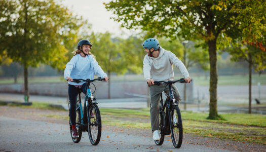 Winora und Haibike gerettet: Bike Tree übernimmt Geschäftsbetrieb von Winora Staiger